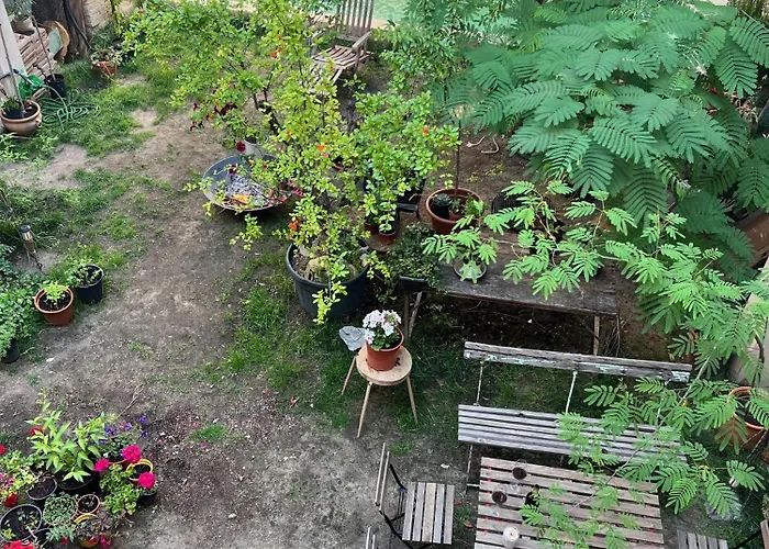 Lejlighed Casita Acceso Piscina Y Jardin La Nueva